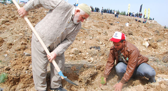 Büyükşehir, 2 Milyon Fidanı Toprakla Buluşturdu