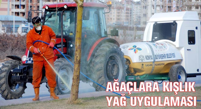 Ağaçlara Kışlık Yağ Uygulaması Yapılıyor