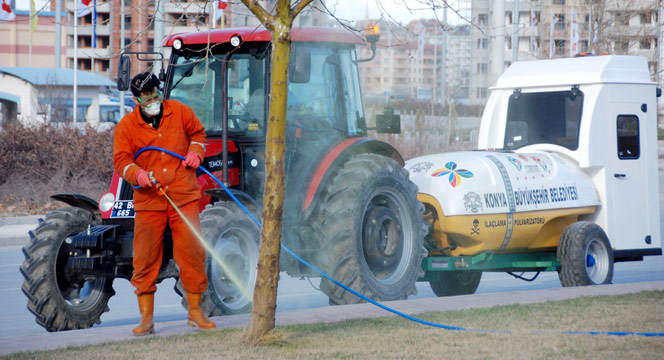 Ağaçlara Kışlık Yağ Uygulaması Yapılıyor