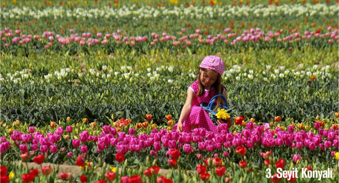 Büyükşehir'den 'Konya'da Lale Zamanı' Etkinlikleri 