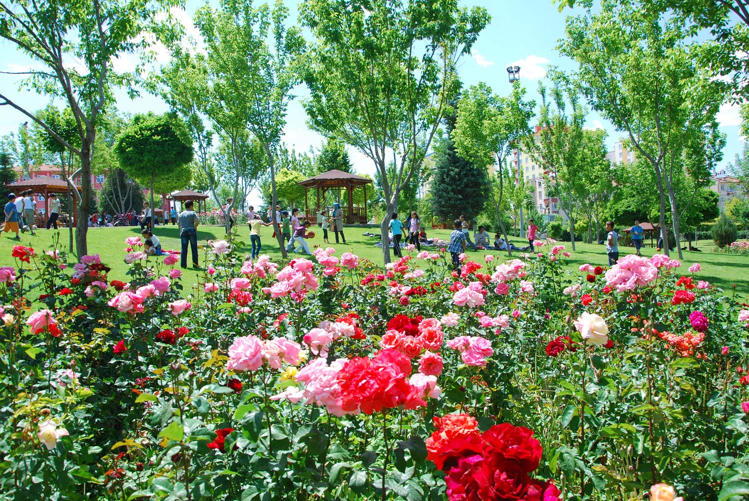 Konya 5 Büyük Parka Daha Kavuşuyor