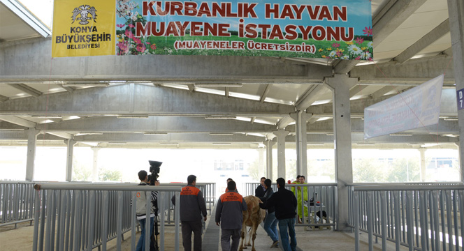 Büyükşehir Belediyesi Kurban Bayramı'na Hazır