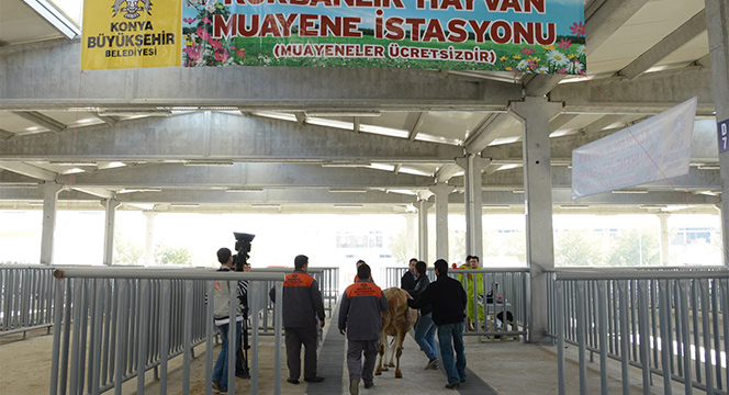 Büyükşehir Kurban Bayramı'na Hazır