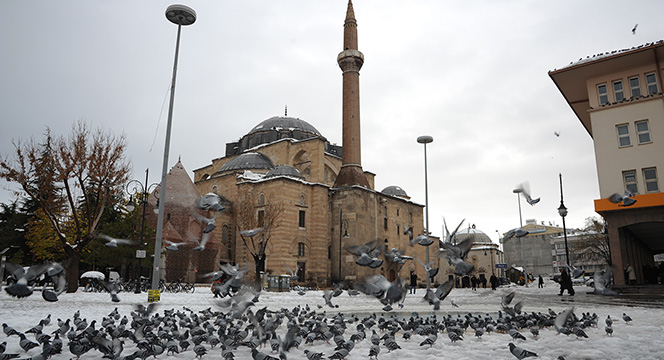 Kuşlara ve Sahipsiz Hayvanlara Yem Bırakıldı