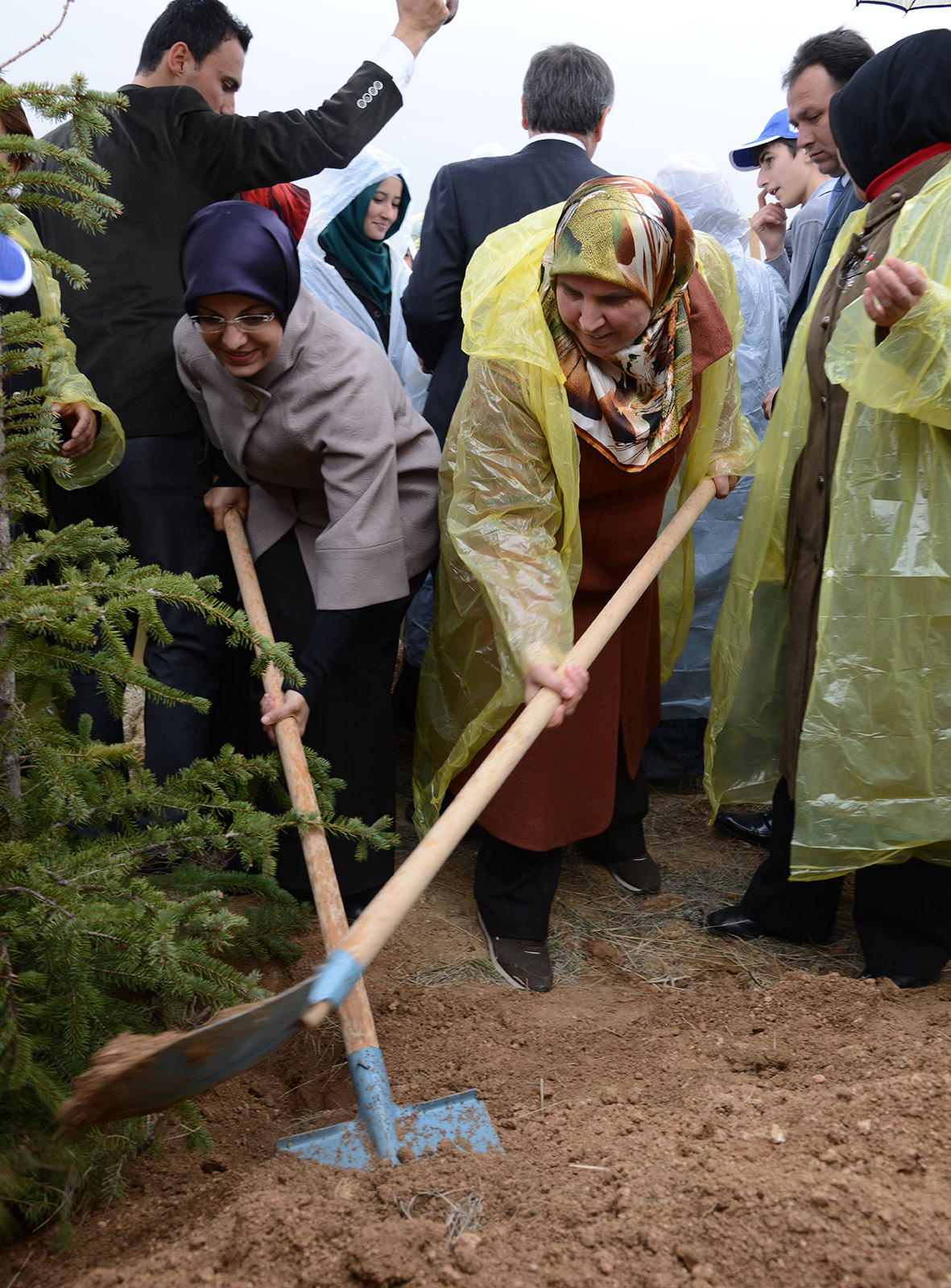 10 Bin Kişi 'Ağaç Dikimi Bahar Etkinliği'nde Buluştu