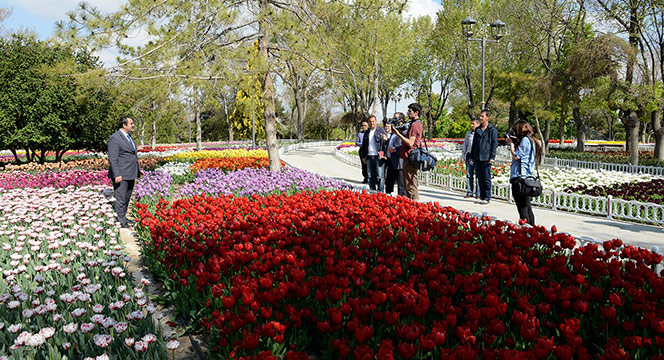 Konyalılar Alaeddin Tepesi'ndeki Lale Bahçesine Akın Etti