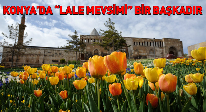 Konya'da 'Lale Mevsimi' Bir Başkadır