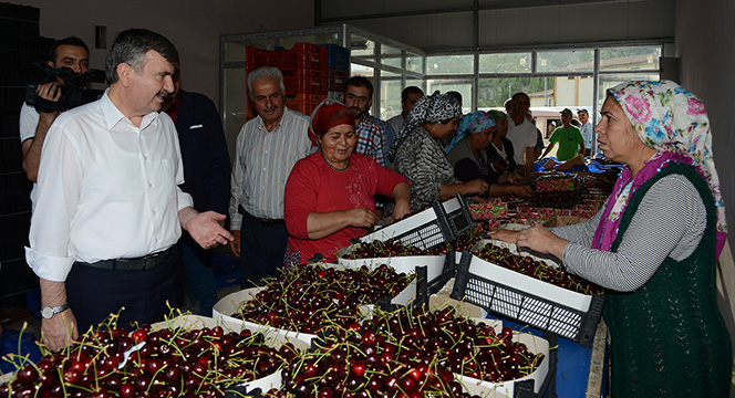İlçeleri Hep Birlikte Güçlendireceğiz