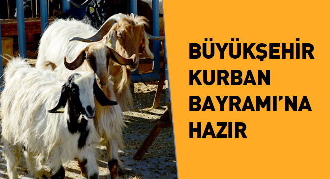 Büyükşehir Belediyesi Kurban Bayramı'na Hazır
