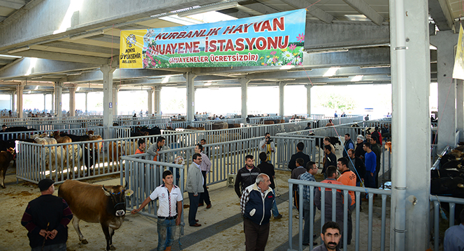 Büyükşehir Belediyesi Kurban Bayramı'na Hazır