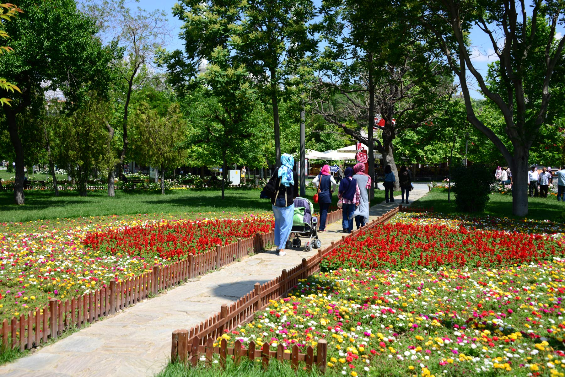 Konya\'da \'Gül\' Zamanı