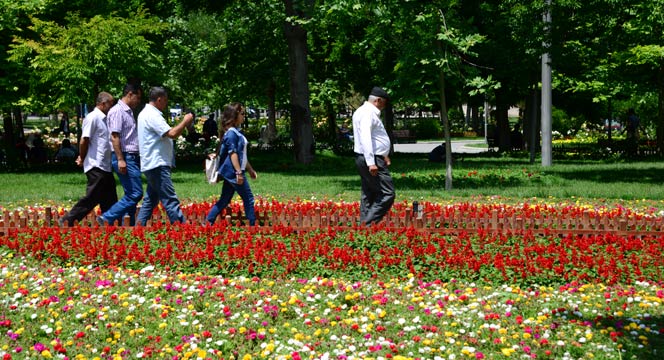 Konya\'da \'Gül\' Zamanı