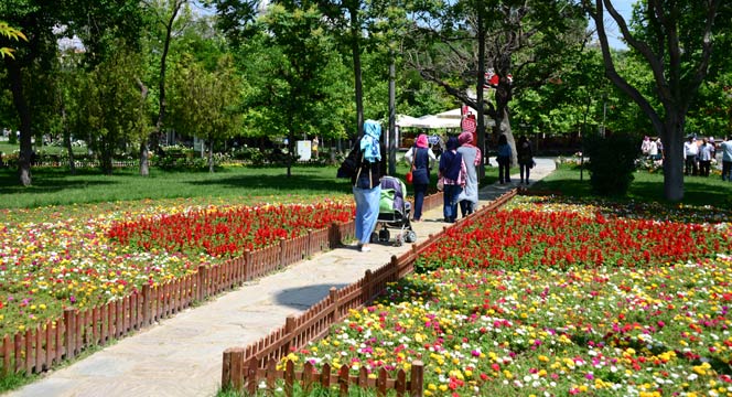 Konya\'da \'Gül\' Zamanı