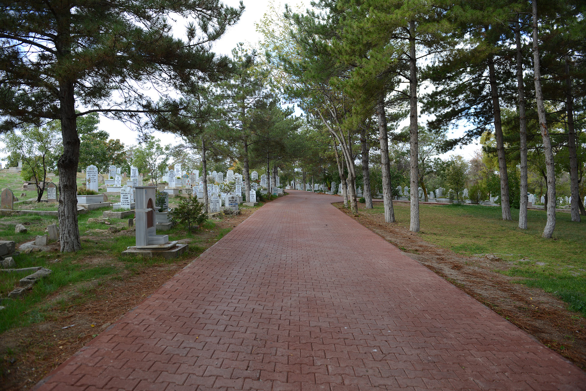 Konya'nın 31 İlçesinde Bakımsız Mezarlık Kalmadı