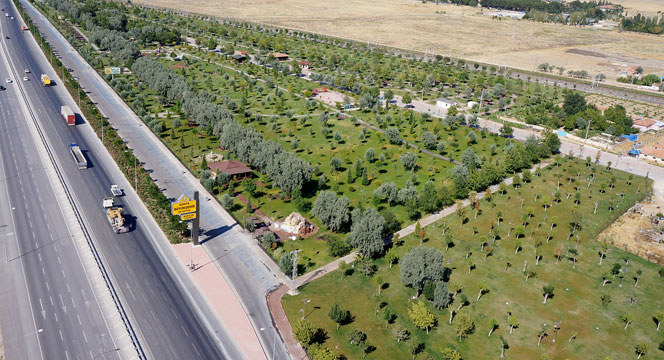 2014'te 703 Bin Fidanı Toprakla Buluşturduk 