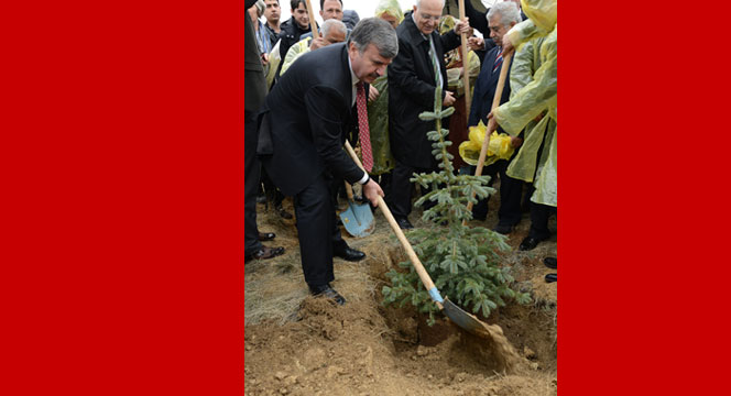 2014'te 703 Bin Fidanı Toprakla Buluşturduk 