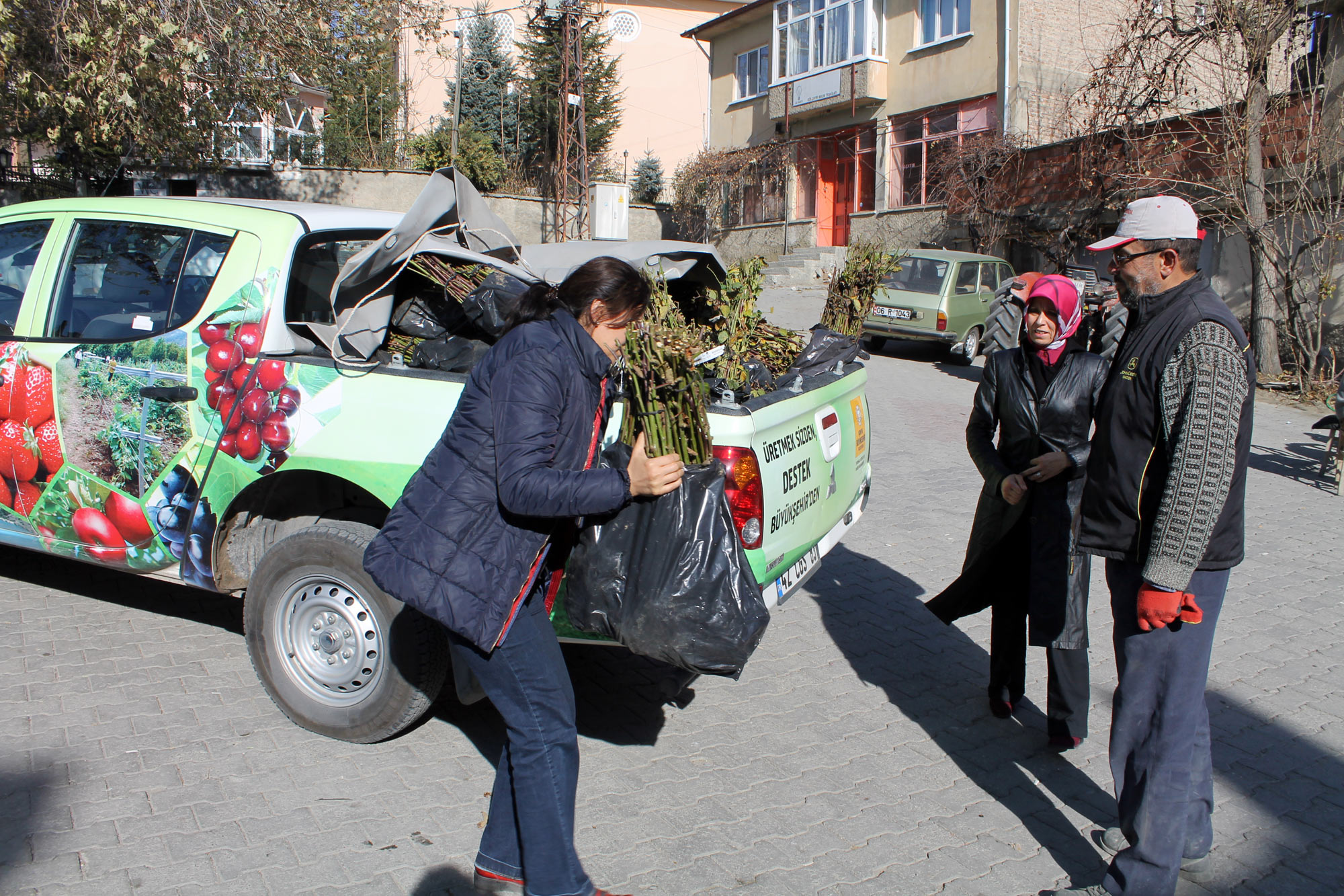 Büyükşehir'den Çiftçiye Böğürtlen Fidanı Desteği