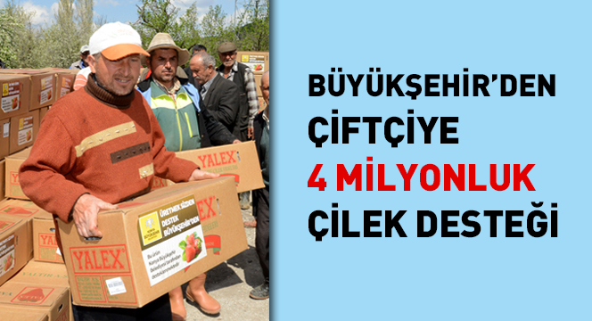 Büyükşehir'den Çiftçiye 4 Milyon Liralık Çilek Desteği