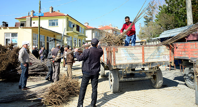 Tarımsal Destekler 2016'da da Devam Edecek