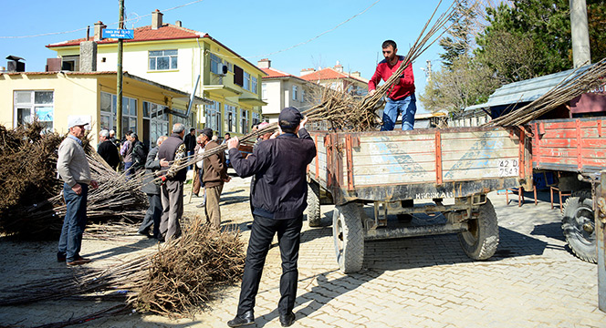 Büyükşehir Belediyesi'nden Tüm İlçelere Tarımsal Destek