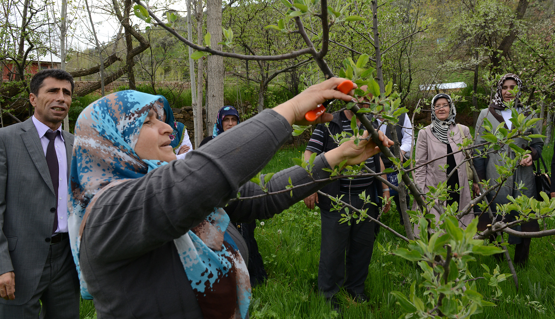 Büyükşehir'den Modern Meyvecilik ve Çilek Yetiştiriciliği Eğitimi 