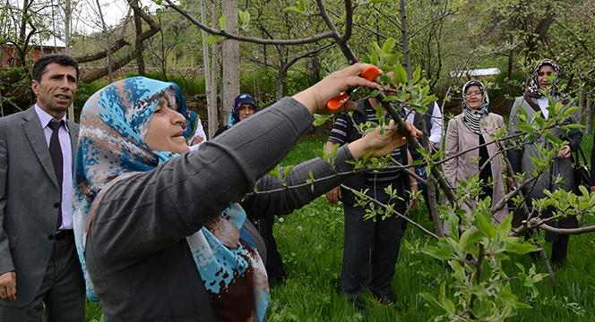 Büyükşehir'den Modern Meyvecilik ve Çilek Yetiştiriciliği Eğitimi 
