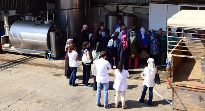 Büyükşehir'in Çiftçi Eğitimlerine Teknik Gezi Desteği