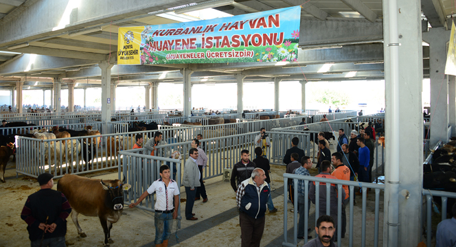 Büyükşehir Kurban Bayramı'na Hazır
