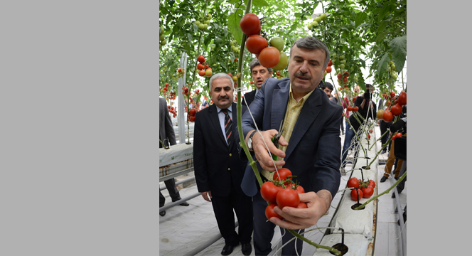 Konya'nın Çöpleri Elektriğe Dönüşüyor