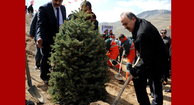 Başkan Akyürek: Bir Ağaç Bir Hayat Demektir