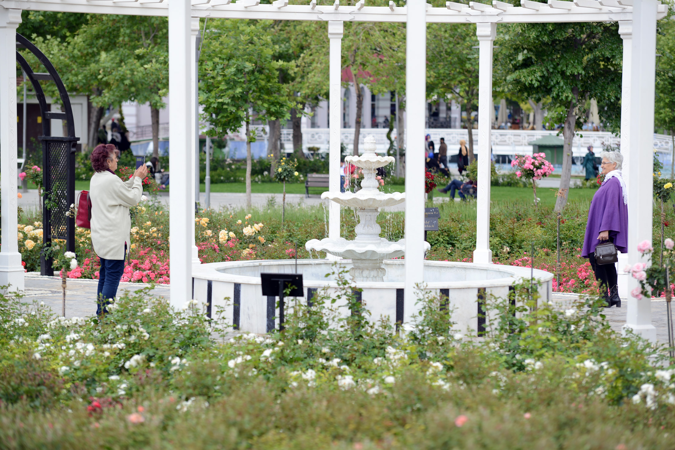 Kültürpark Gülbahçe'de Güllerin Ahengi