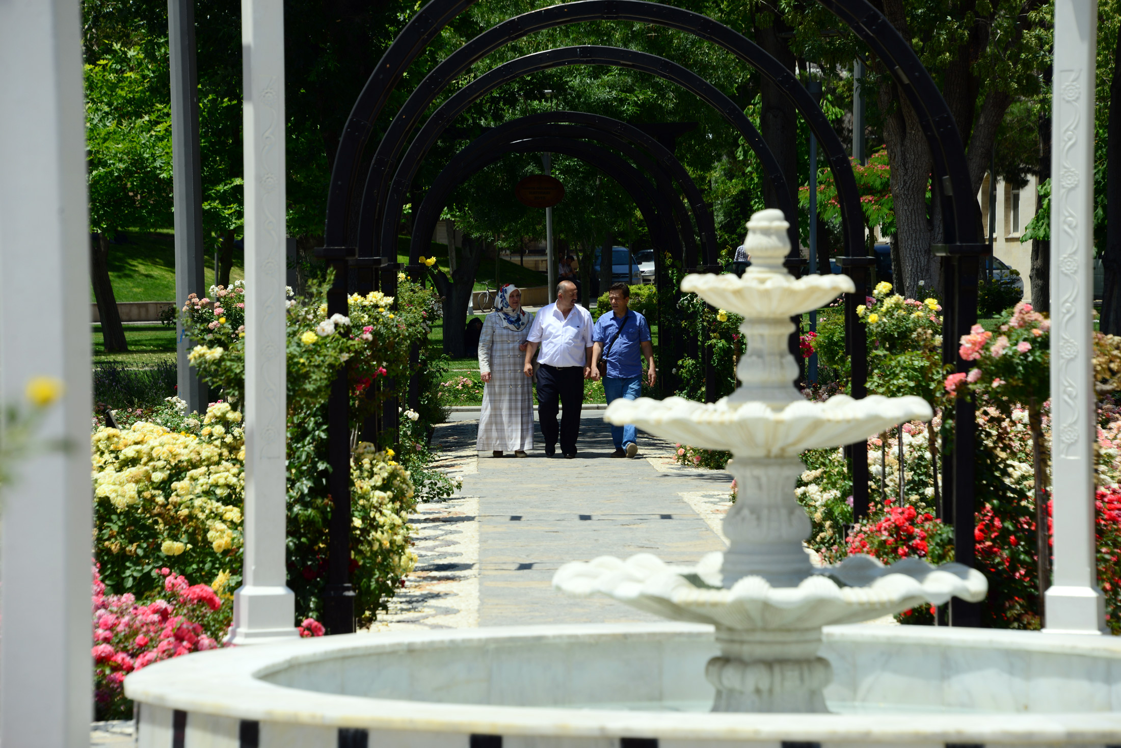 Kültürpark Gülbahçe'de Güllerin Ahengi