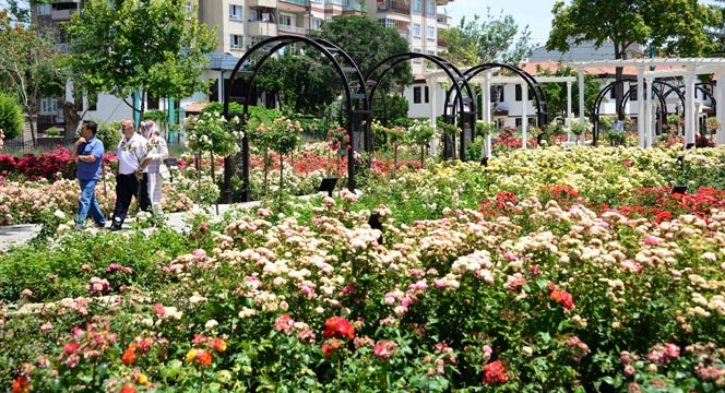 Kültürpark Gülbahçe'de Güllerin Ahengi
