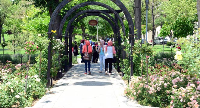Kültürpark Gülbahçe'de Güllerin Ahengi