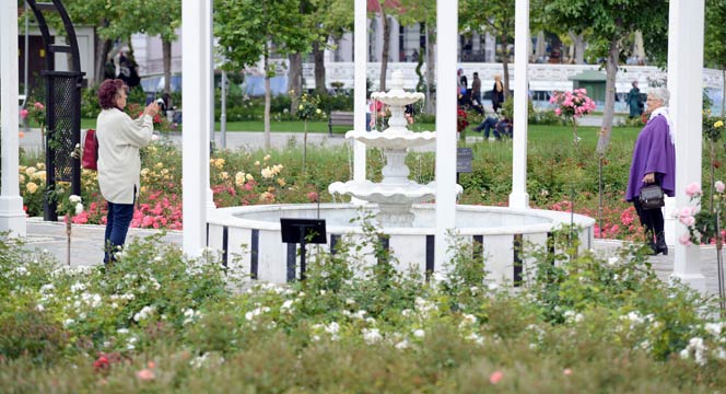 Kültürpark Gülbahçe'de Güllerin Ahengi