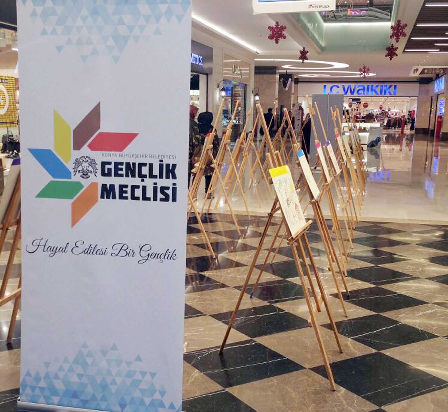 Hayata Renk Kattılar