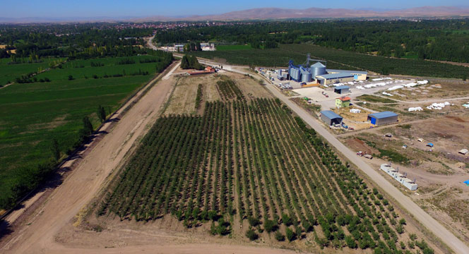 Büyükşehir'den Çumra'ya 300 Bin m2 Fidanlık