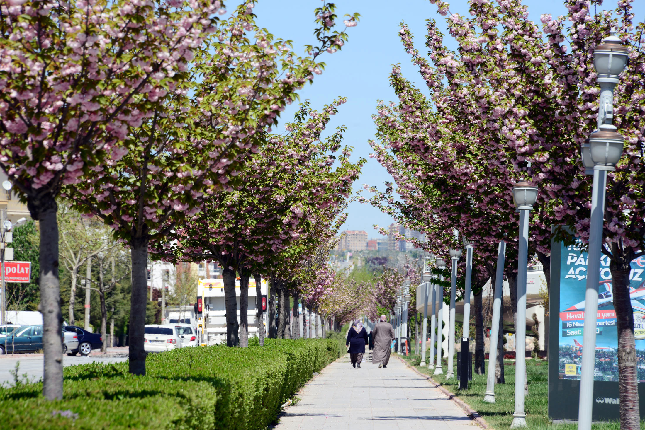 Büyükşehir'den Çiçek Gibi Konya Fotoğraf Yarışması