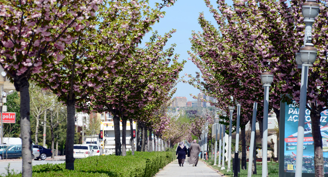 Büyükşehir'den Çiçek Gibi Konya Fotoğraf Yarışması