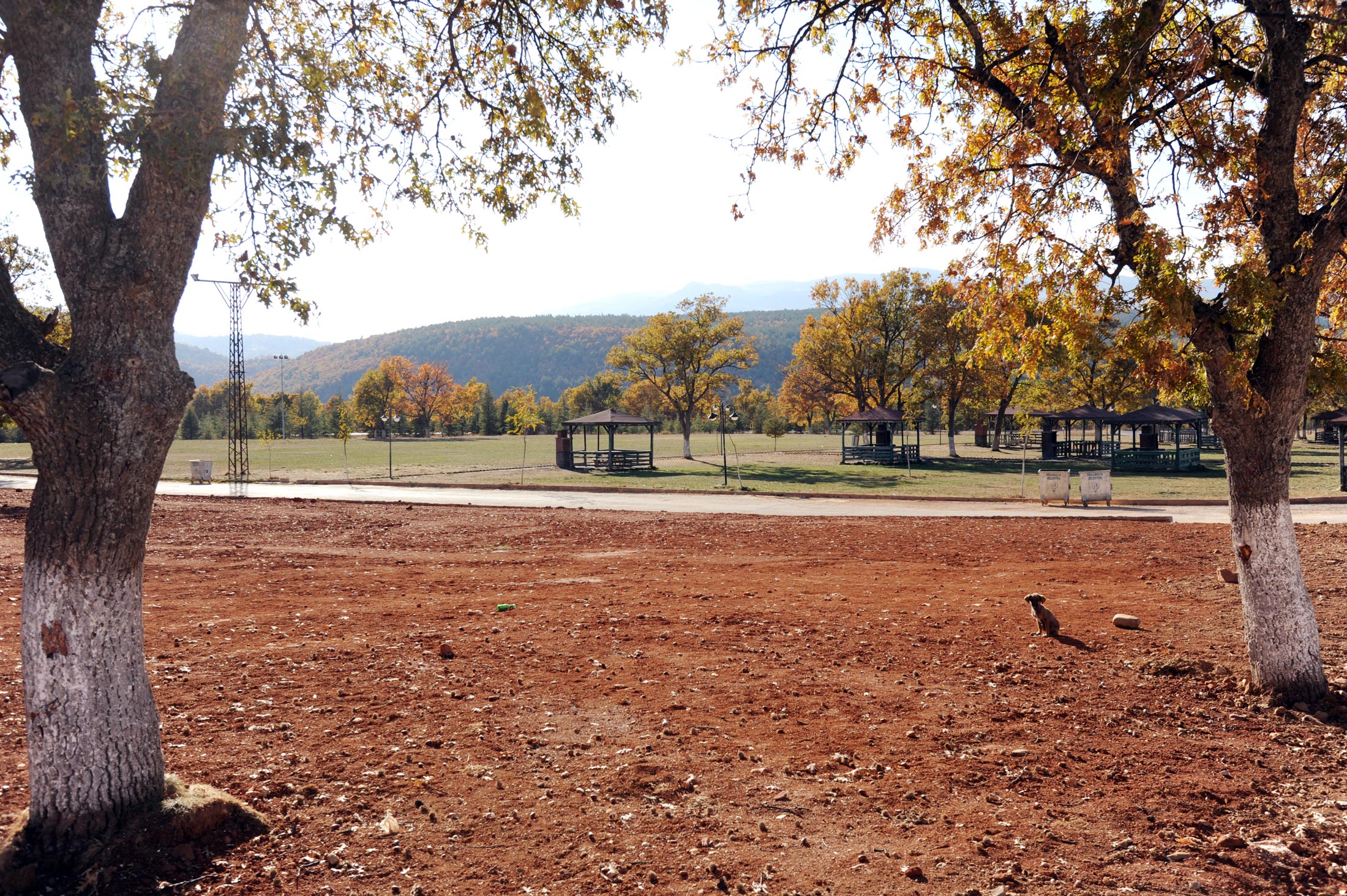 Büyükşehir'den Doğanhisar'a 25 Bin Metrekarelik Park