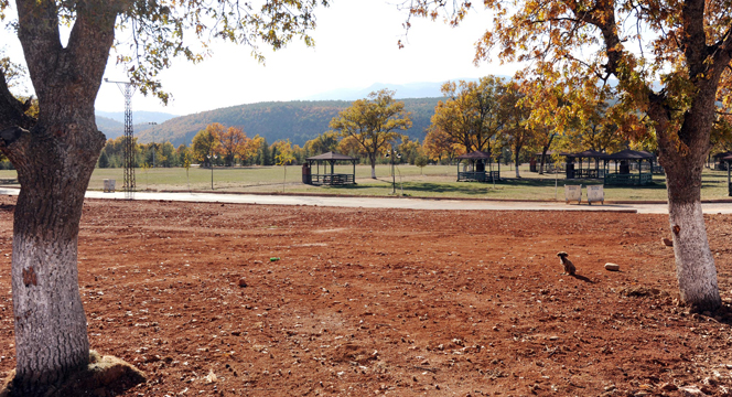 Büyükşehir'den Doğanhisar'a 25 Bin Metrekarelik Park