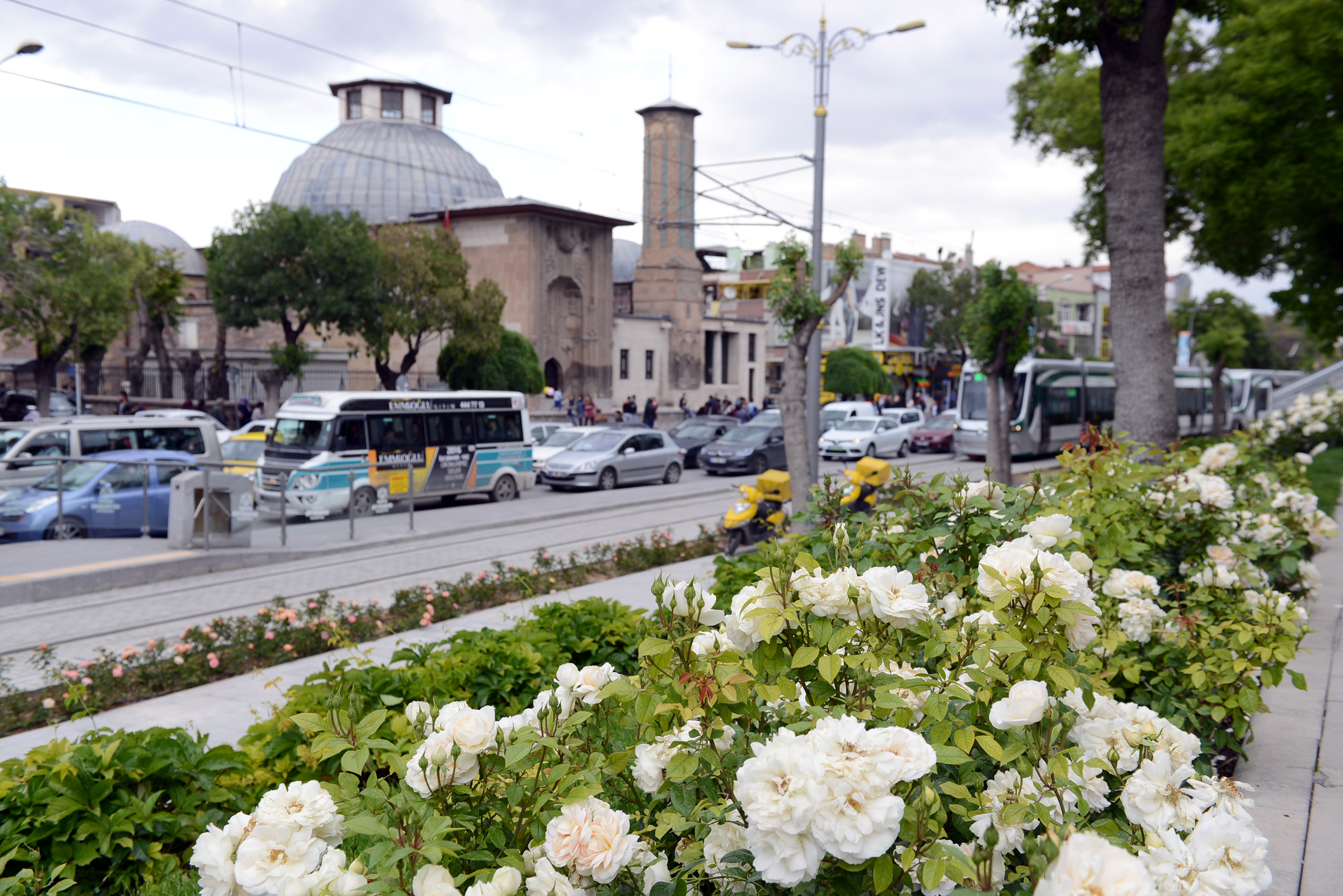 Güller Şehri Konya