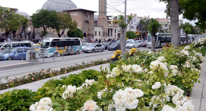 Güller Şehri Konya