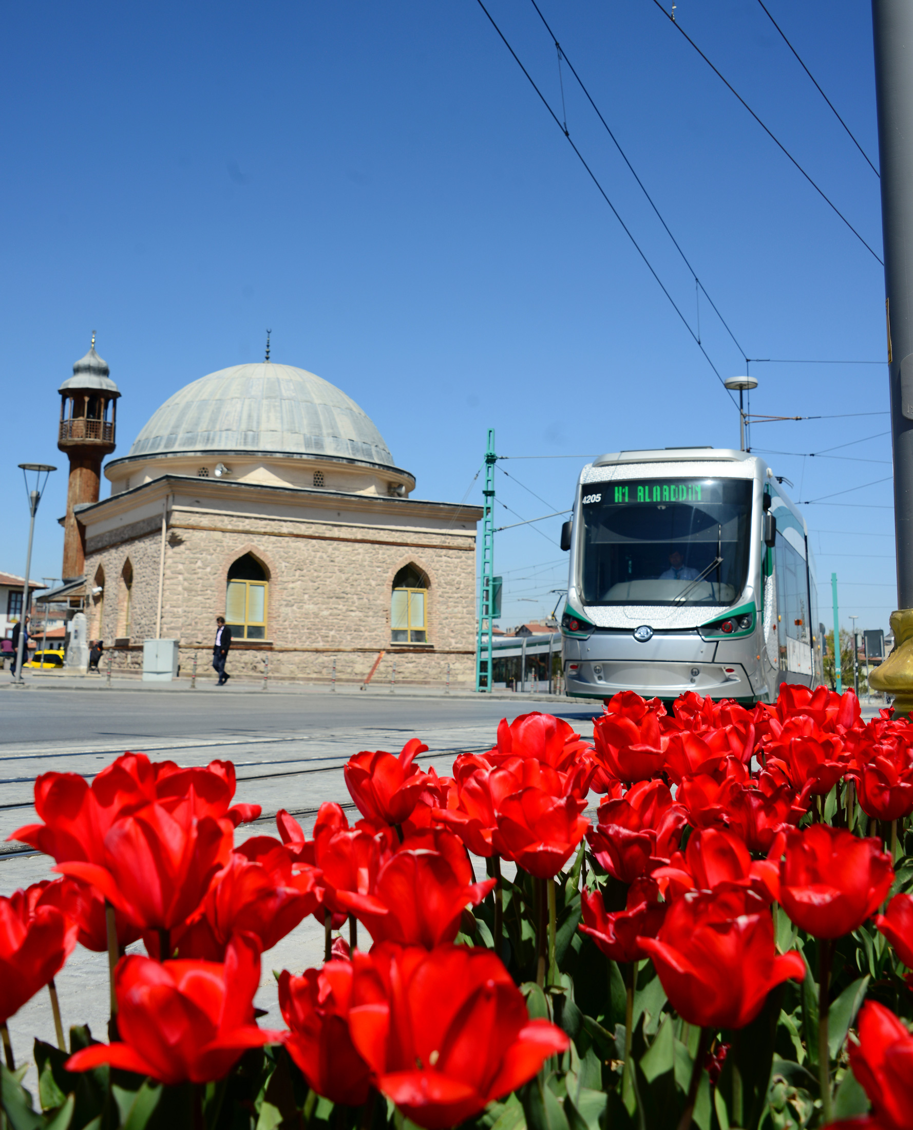 Konya'da Lale Mevsimi 