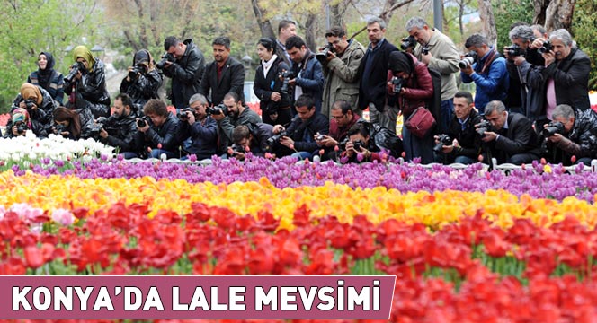 Konya'da Lale Mevsimi 