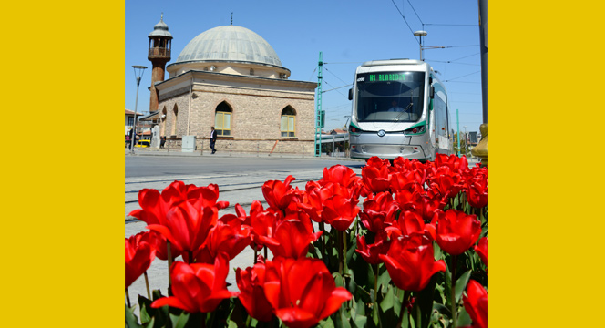 Konya'da Lale Mevsimi 
