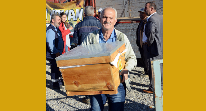 Büyükşehir'den Üreticiye Arı Desteği