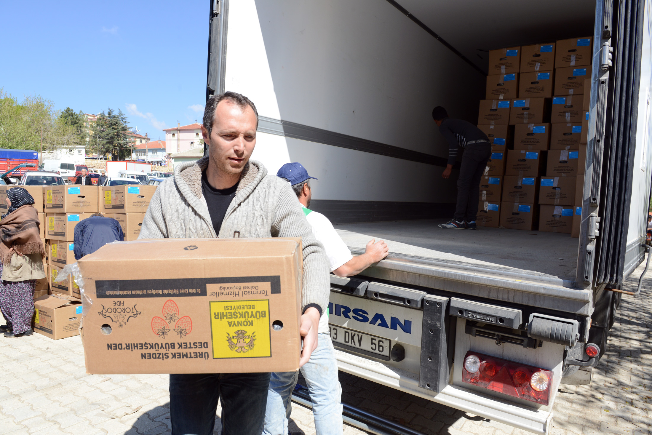 Çilek Üreticisine 5 Milyonluk Destek
