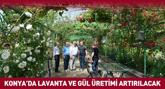 Konya'da Lavanta ve Gül Üretimi Artırılacak