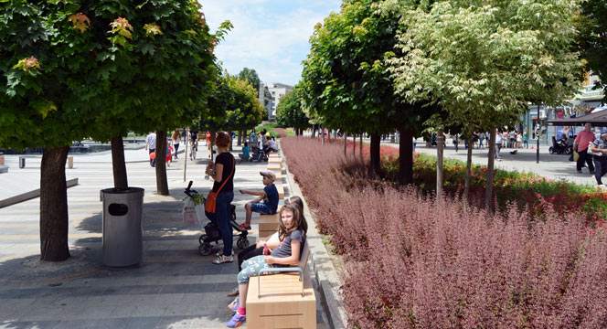 Konya'da Lavanta ve Gül Üretimi Artırılacak